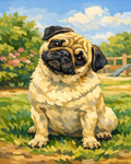 That Pug Look